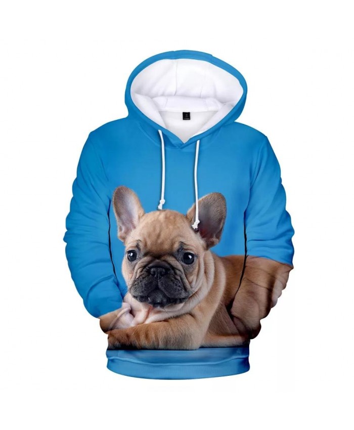 French Bulldog Hoodies Men women Fashion Print 3D Pullover French Bulldog Men's Hoodies Sweatshirt Harajuku Clothes