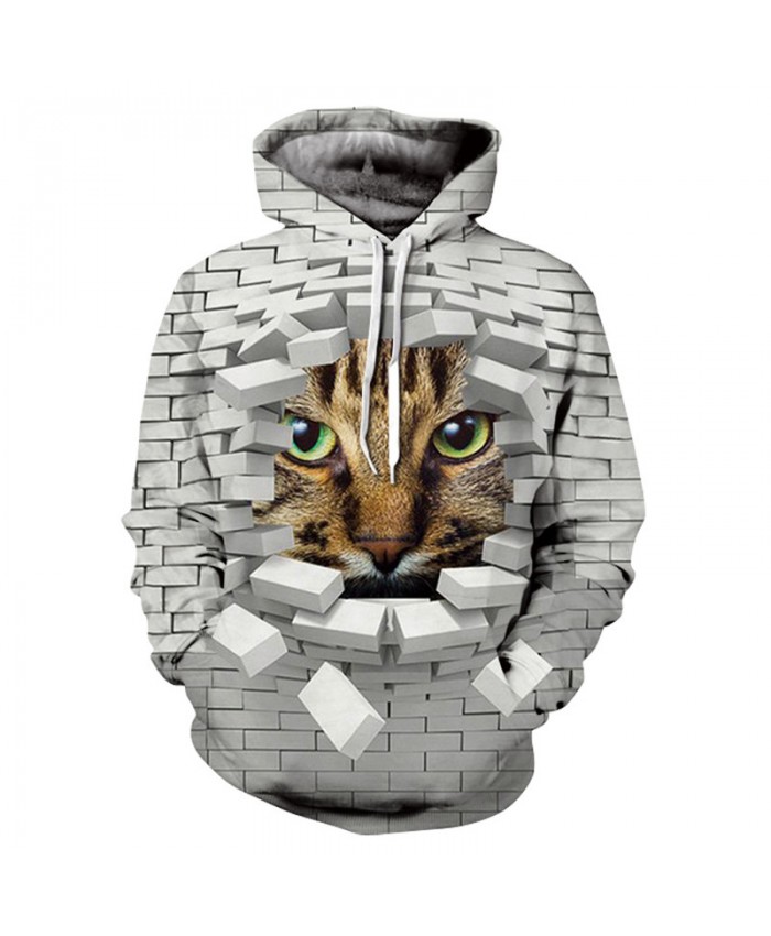 Men&Women Hoodies Hoody Sweatshirts Cat 3D Print Animal Couple Plus Size Hoodie Pullovers Autumn Windbreaker Outwear Tracksuit